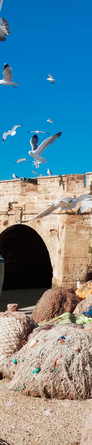 Schlendere durch die Altstadt Essaouira